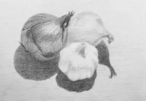 lyijykynällä piirrettyjä sipuleita